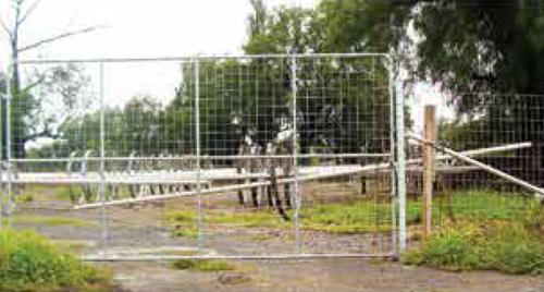 puerta triple nudo para terreno