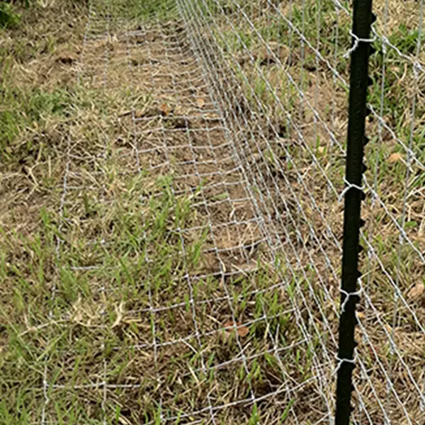 malla antidepredador para rancho